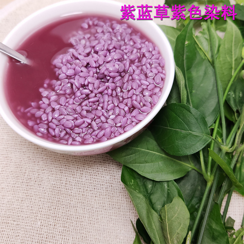 紫色糯米饭植物染料新鲜饭团材料紫米草广西紫蓝草红蓝草红兰草