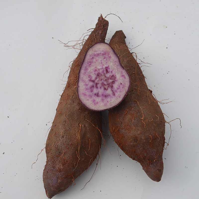 云南正宗紫山药紫大薯铁紫脚板薯新鲜蔬菜农家非棍山药糯米山药