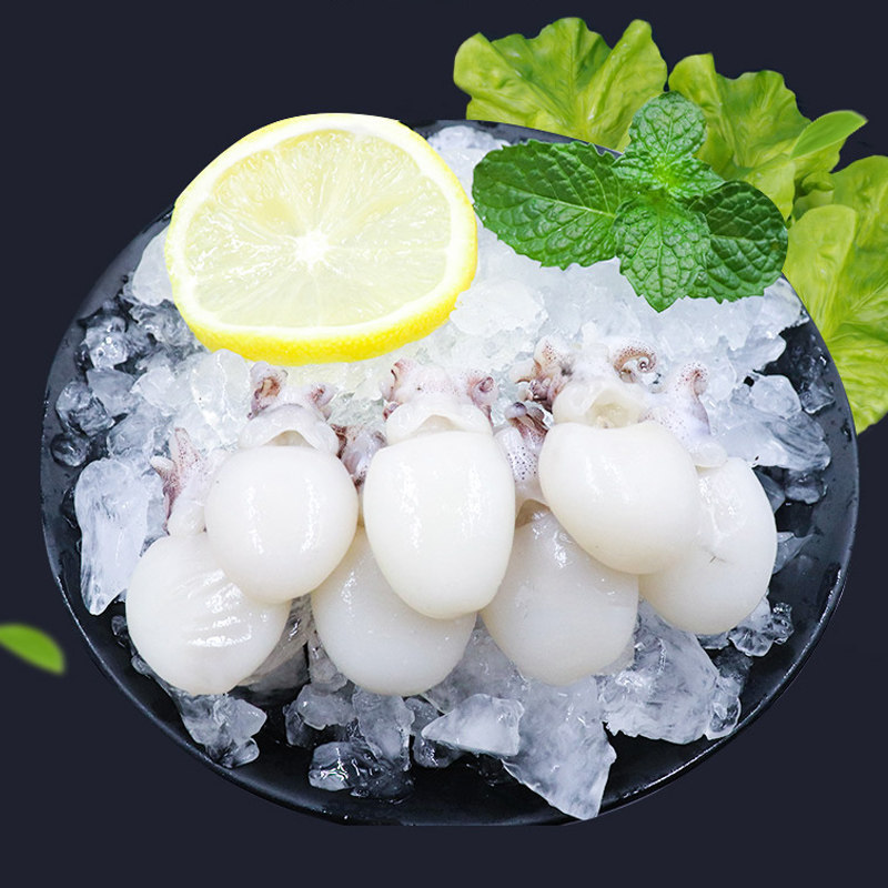 兔子精选墨鱼仔海笔管鱼满籽籽乌海鲜活冷冻冷冻墨鱼