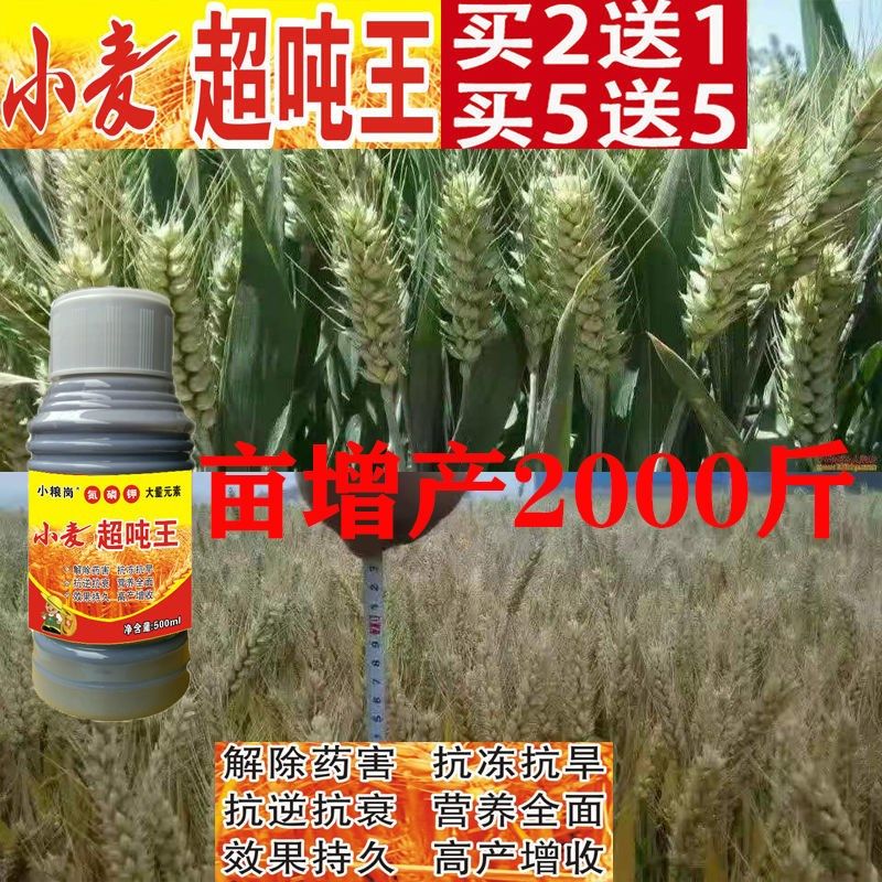 小麦超吨王进口进口新型肥料直销农用通用型快速新型肥料