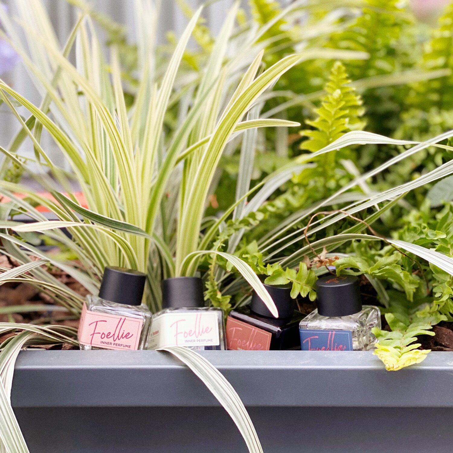 健康包邮情调也要foellie私处香水植物温和awwshop香水