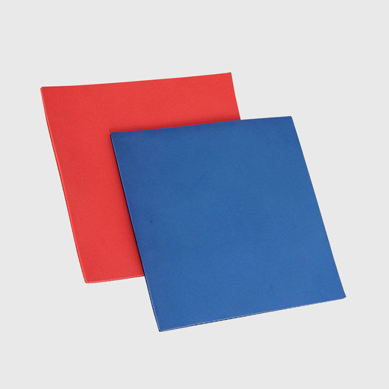 乒乓球训练胶皮正品郗恩庭套胶套反普及球馆乒乓套胶