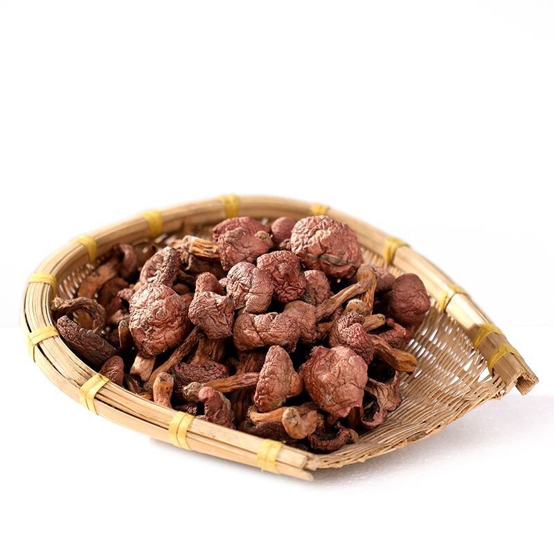 东北特产红蘑野生红蘑菇干货肉蘑松树伞钉松蘑香菇类