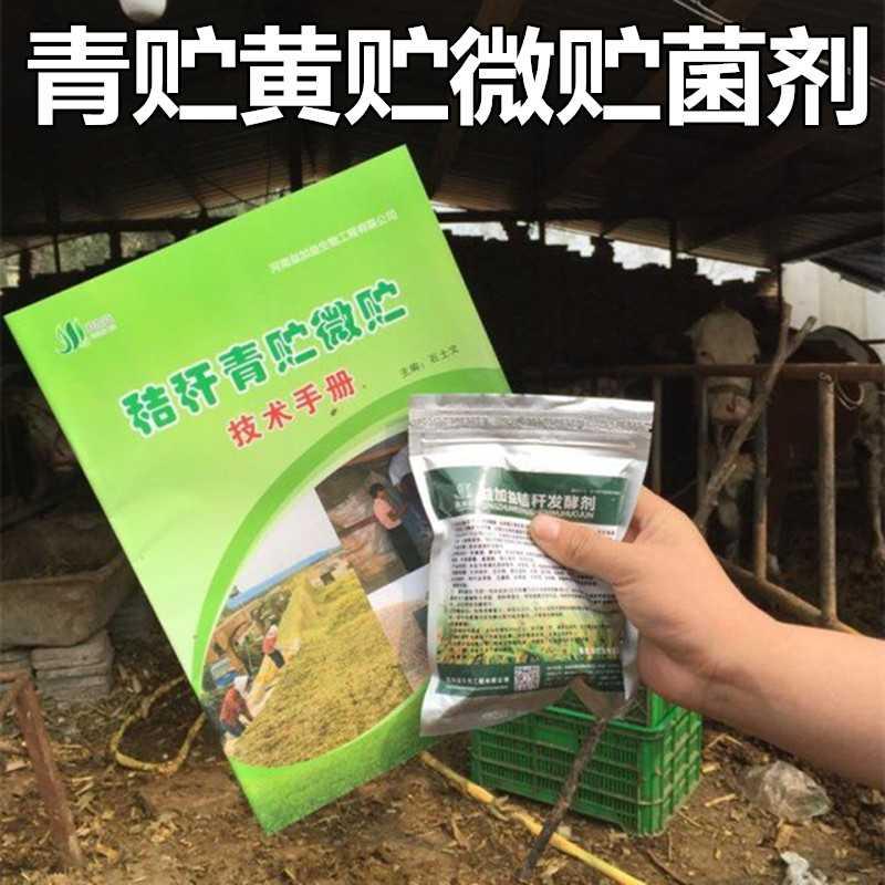 玉米米青菌种青贮饲料乳酸菌添加剂牧草牛羊em饲料添加剂
