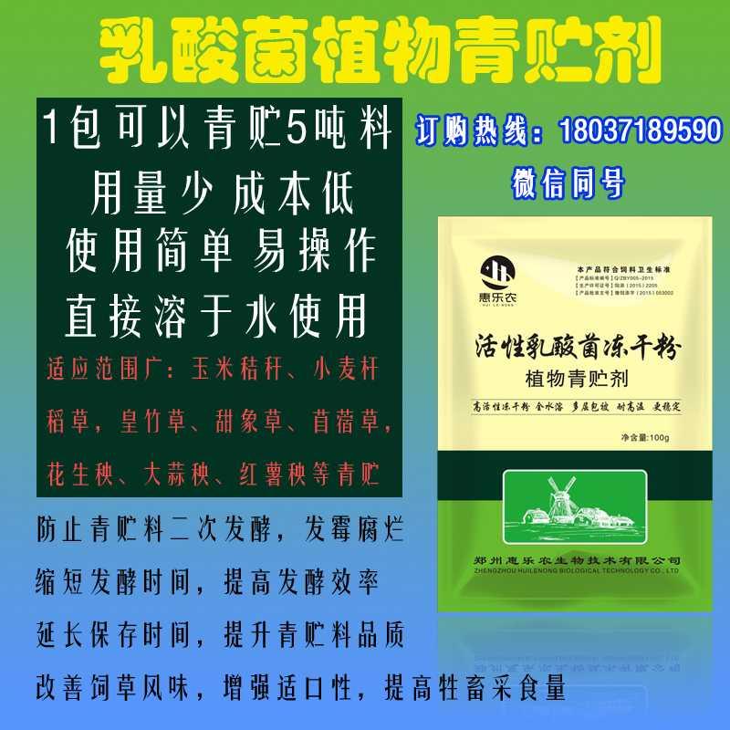 青贮乳酸菌饲料发酵剂玉米秸秆添加剂大蒜牧草发酵饲料添加剂