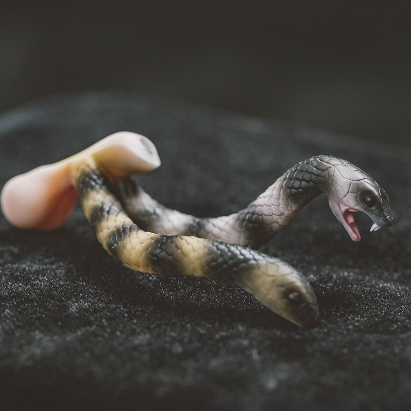 ringdoll戒之人形丁丁磁吸潮玩件叔体配件bjd娃娃bjd