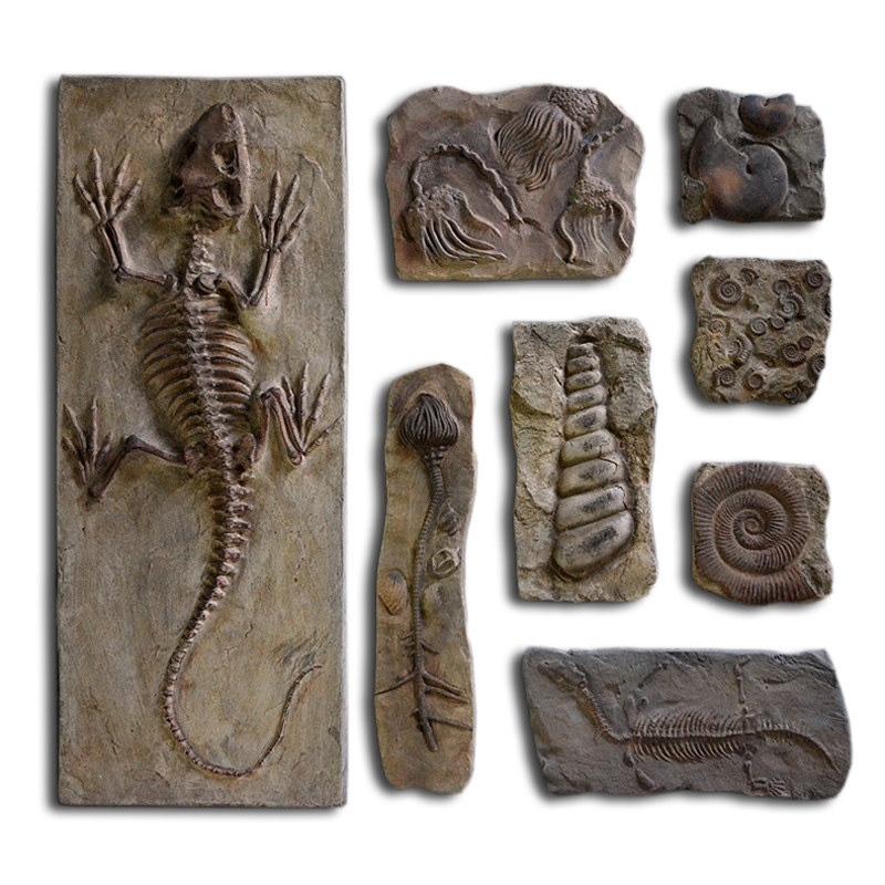 树脂仿真远古古生物化石壁饰酒吧复古动物昆虫壁饰