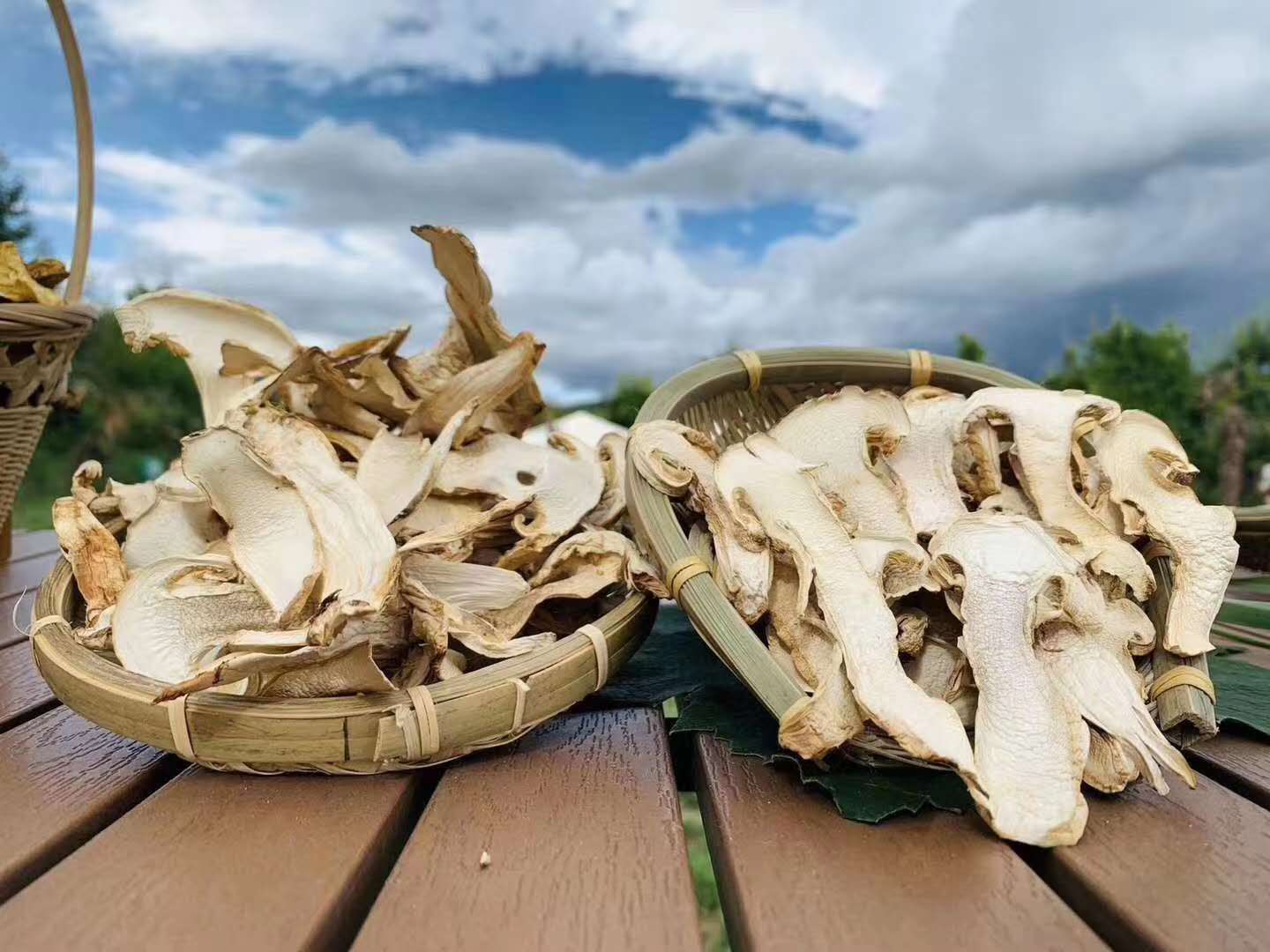 松茸云南特产干货正宗香格里拉纯天然菌姬菇松茸干片松茸