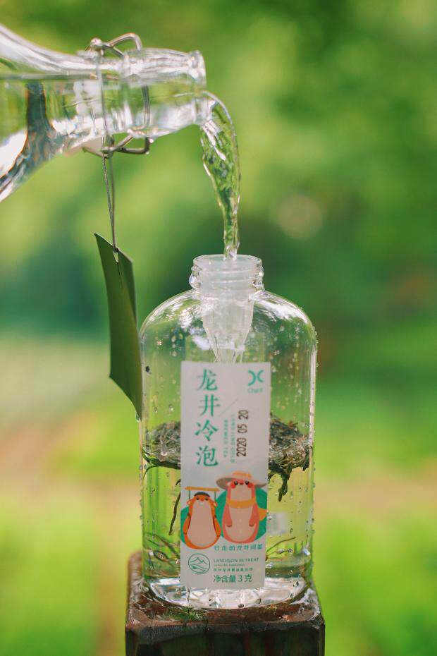 龙井雷迪森庄园chax龙井冷泡茶 夏日好礼 健康有趣的年轻创意茶饮