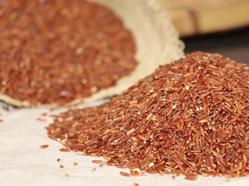 贵州红米1斤大米农家自产秋收新米散装粳米糙米