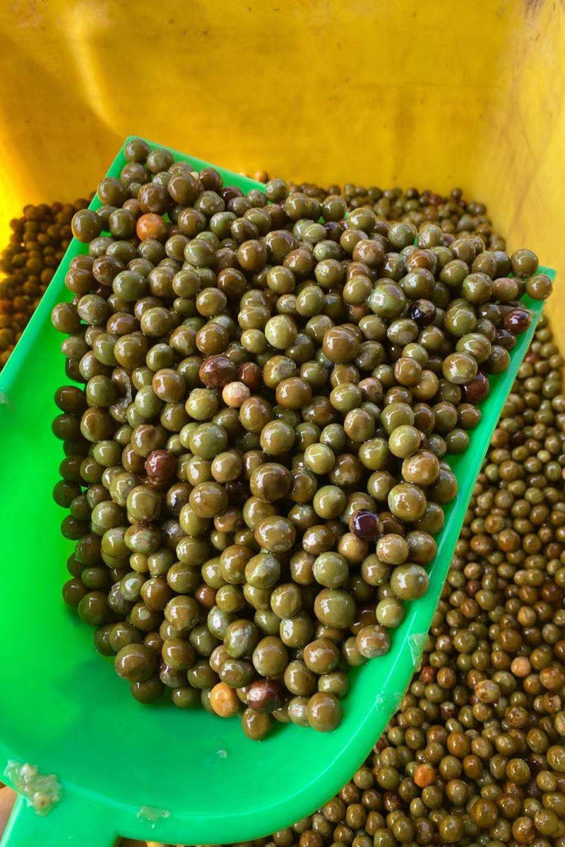 定远炉桥野生鸡头米果芡实新鲜带壳头茨实包高品质鸡头米