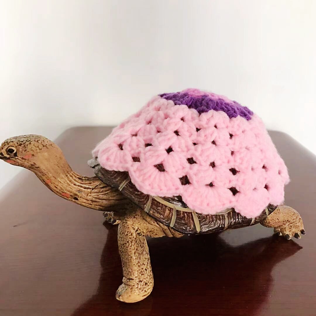 衣服宠物乌龟巴西陆龟毛衣水龟小乌龟宠物用品预定宠物服装