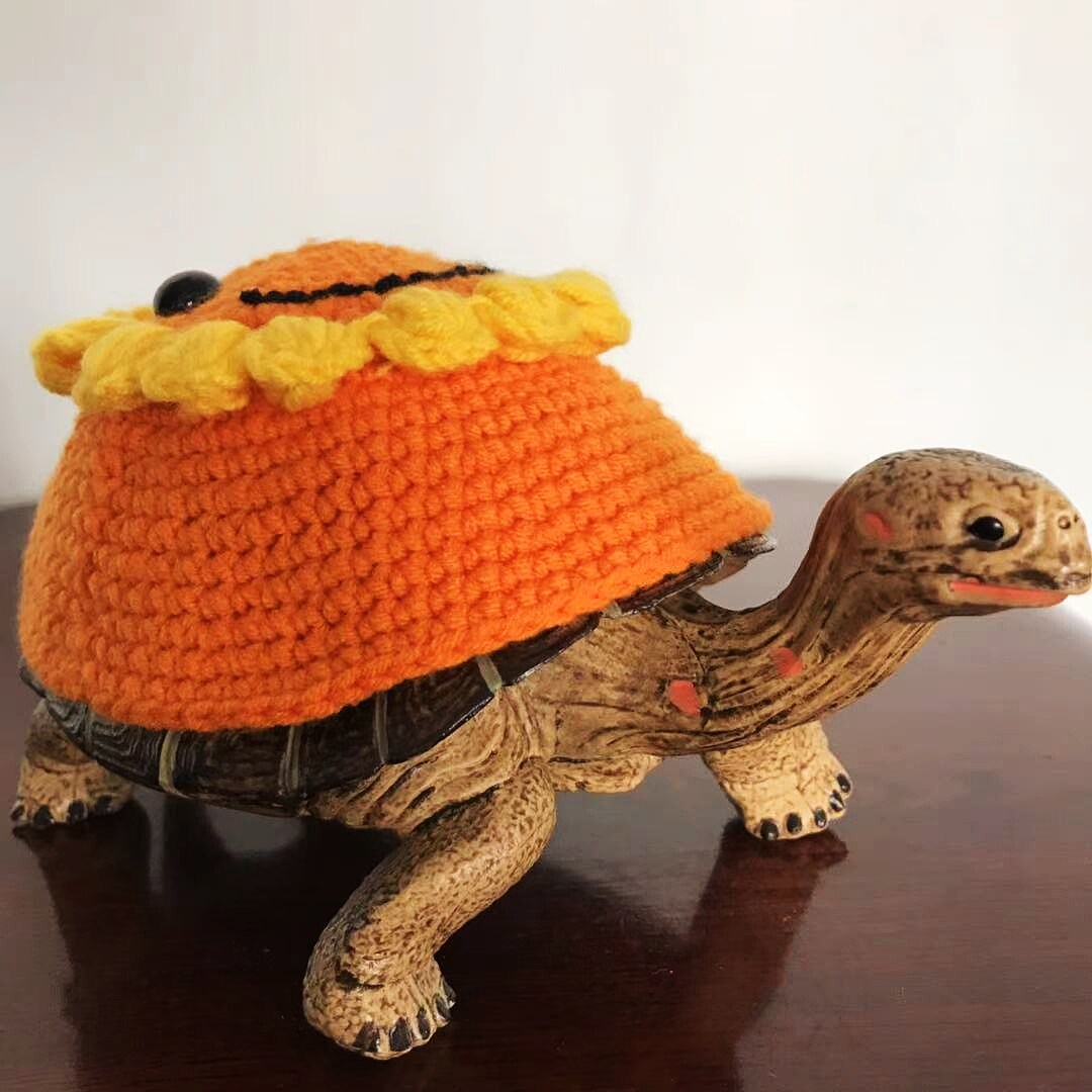 衣服手工定制乌龟宠物小乌龟毛衣背心马甲网红宠物服装