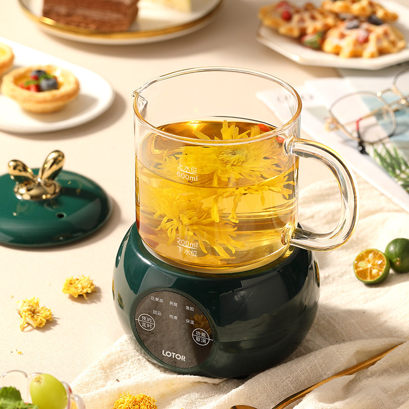 小浣熊养生壶家用多功能烧水壶mini小型办公室炖煮一体养生壶