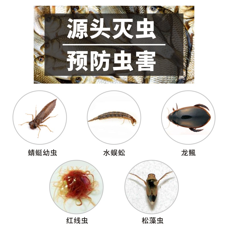 水产养殖鱼塘苗虫净杀蜻蜓幼虫豆娘水虿蜈蚣红线水质调节剂
