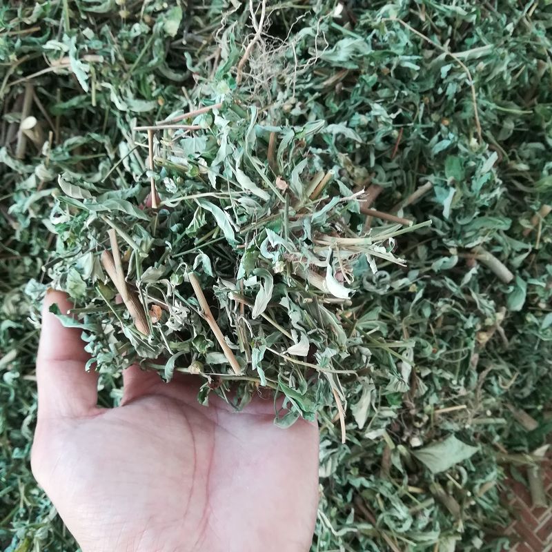 揭阳野生草药农副