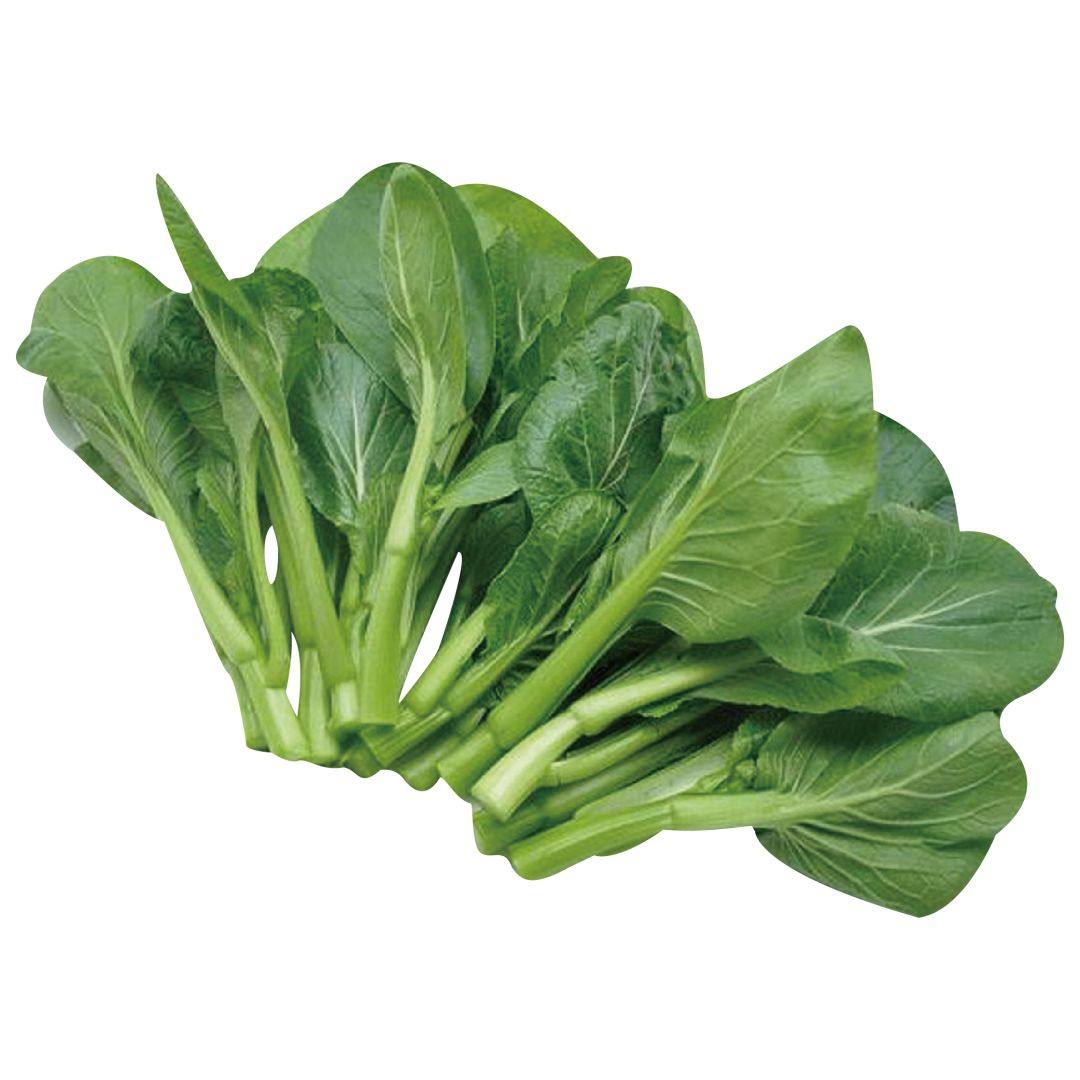 新鲜宁夏菜心500g正宗菜苔时令蔬菜供港菜王小青菜水白菜花