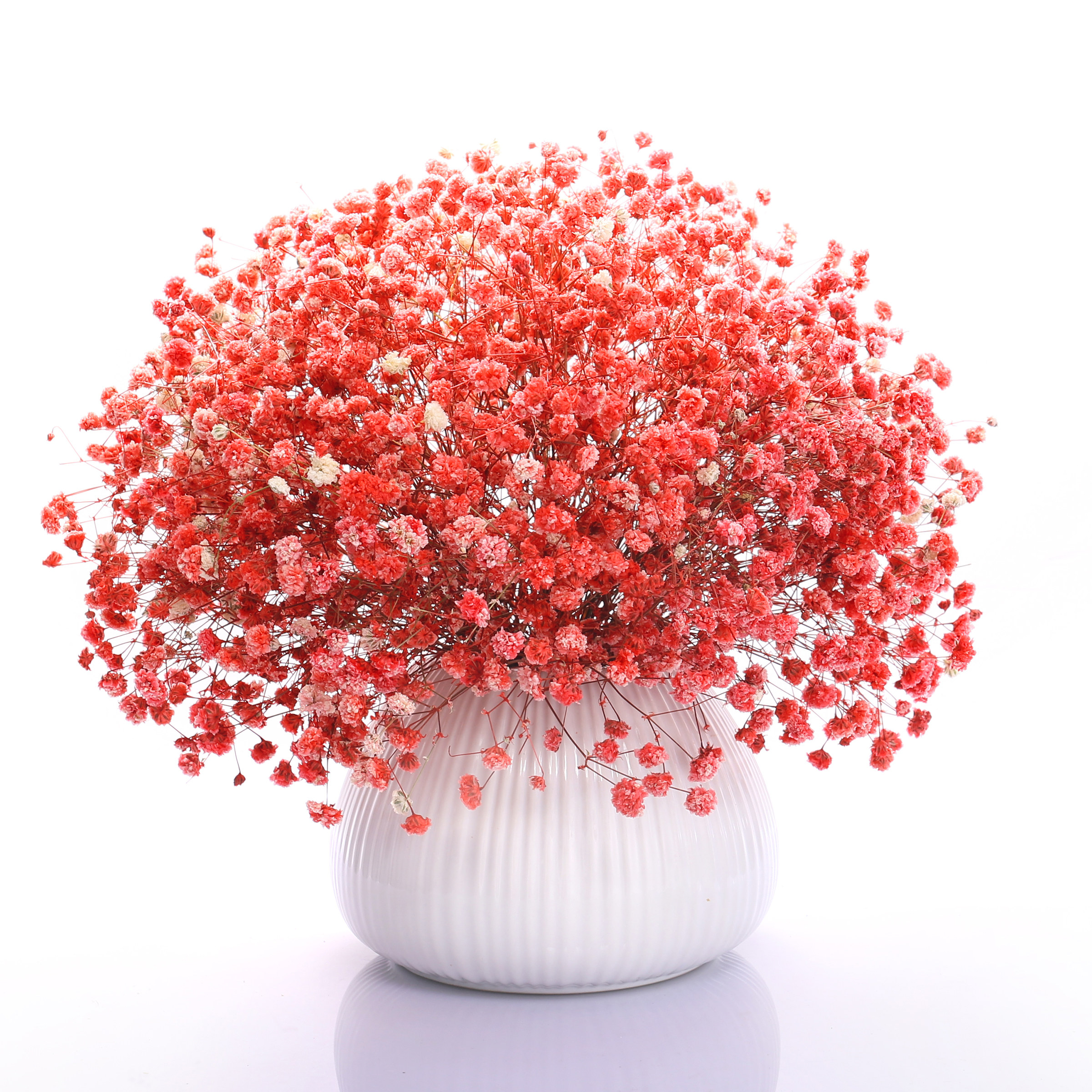 勿忘我干花花束3色可选