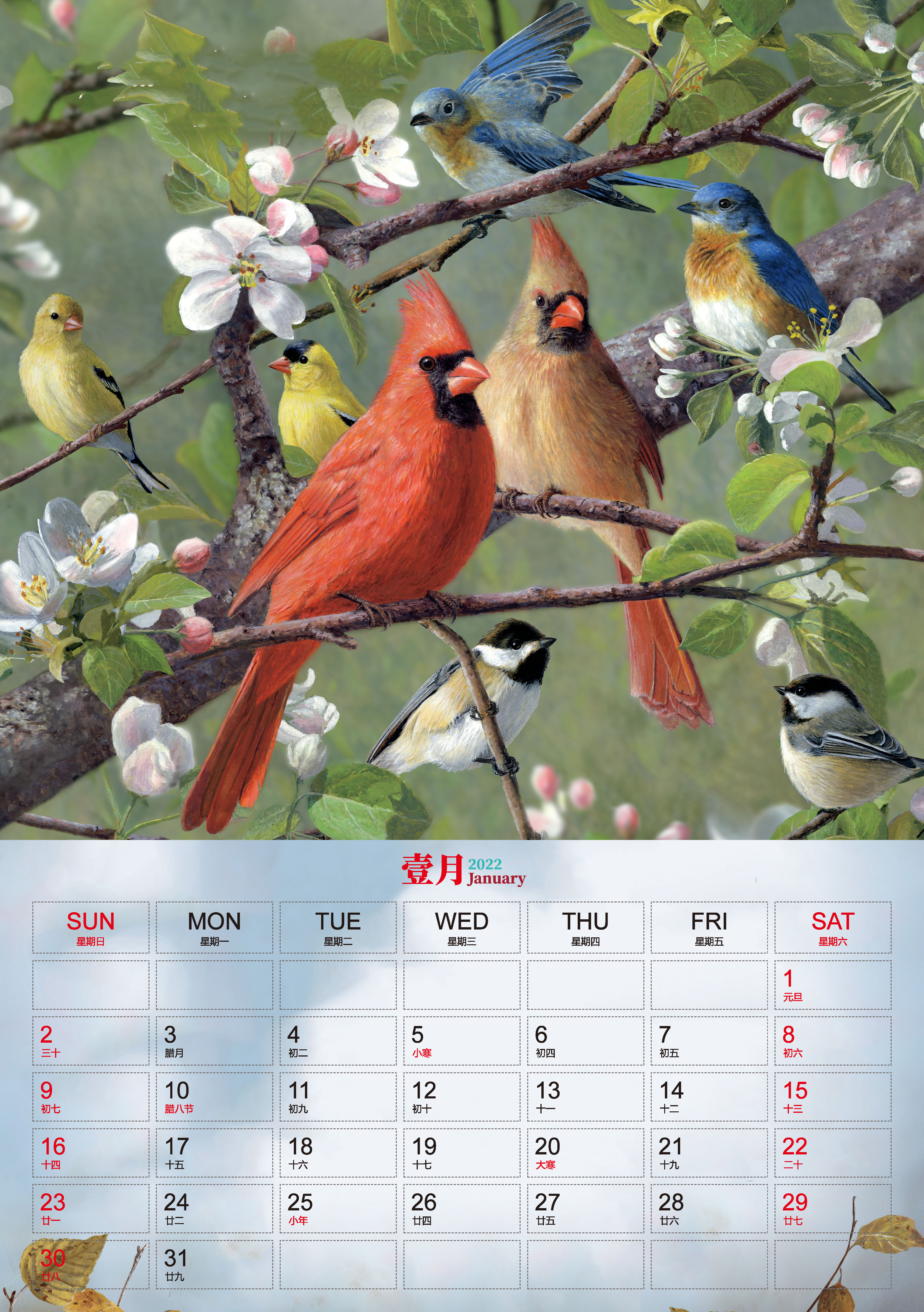 2022中国风挂历鸟类月历手撕家用大号定制印刷定做