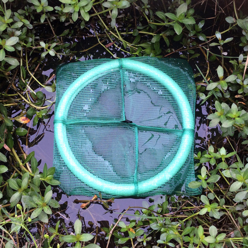 黄鳝水上新款10个精品深水网整圈泡沫泥鳅笼捉鱼网