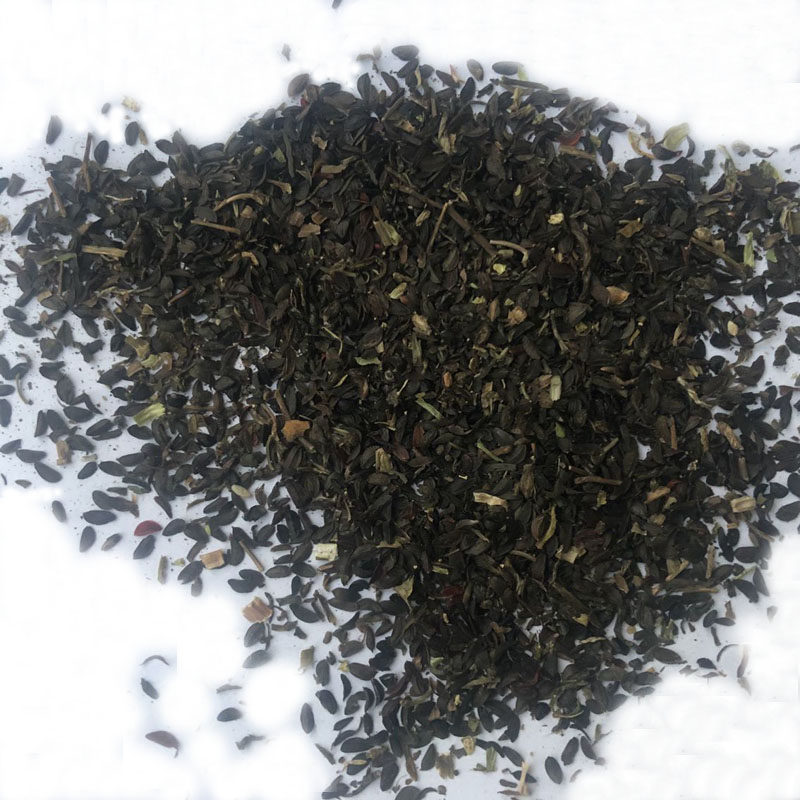 苦麦菜种籽四季养殖多年生牧草苦荬菜种子苦麻菜鸡鸭鱼草猪兔鹅菜