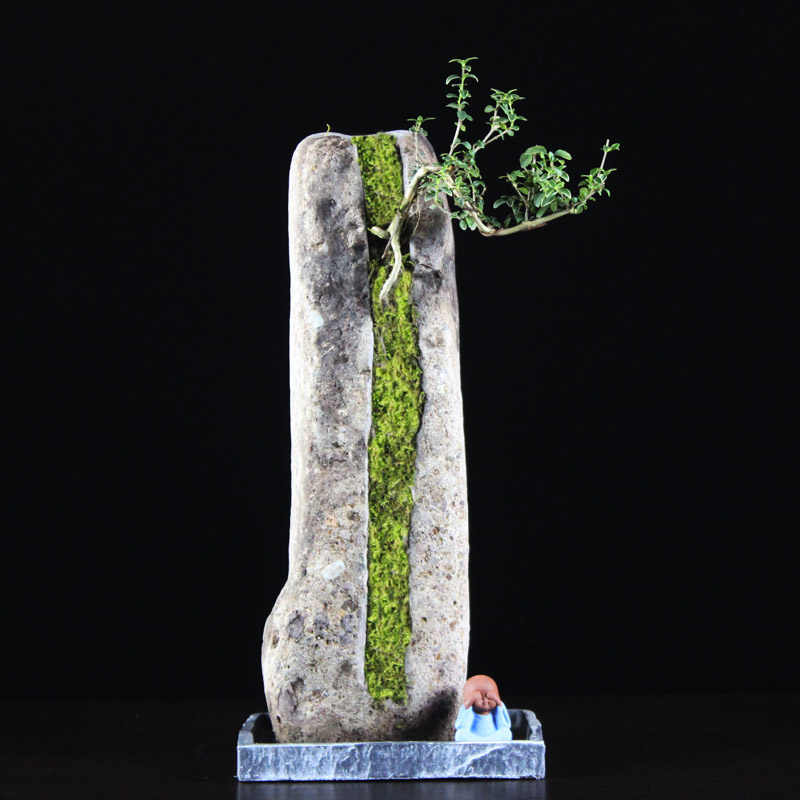 高山流水盆景石头倒扣花盆附石菖蒲景观造景装饰绿植