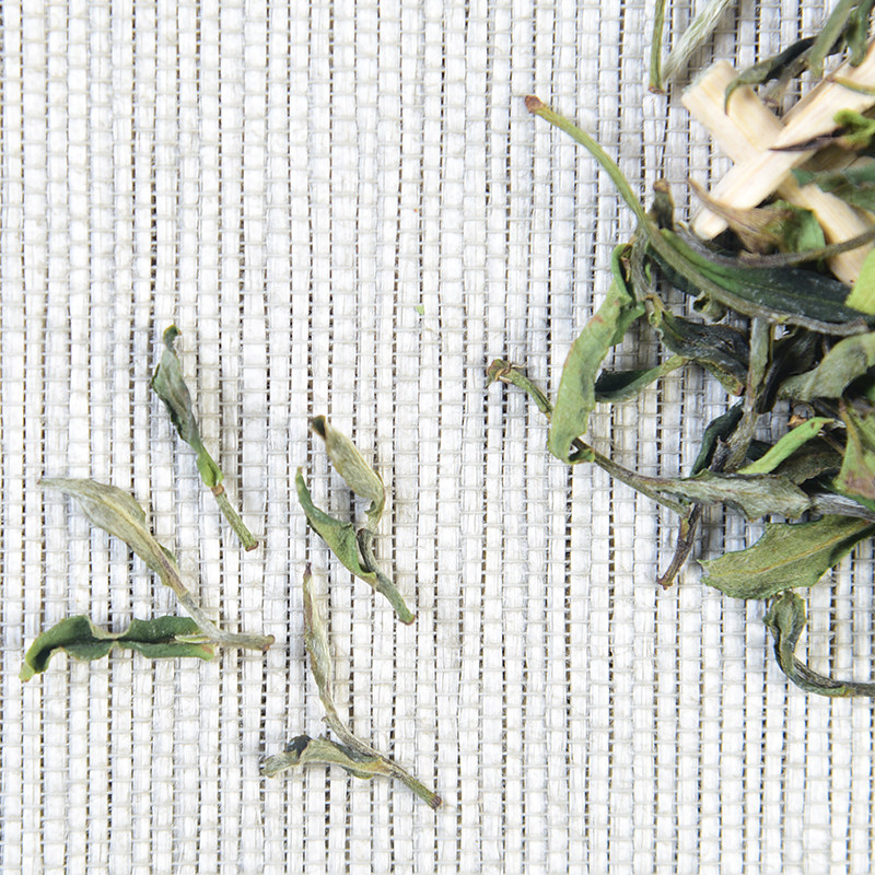 2021年头春茶清明前梅占鱼叶寿眉m1白毫银针寿眉