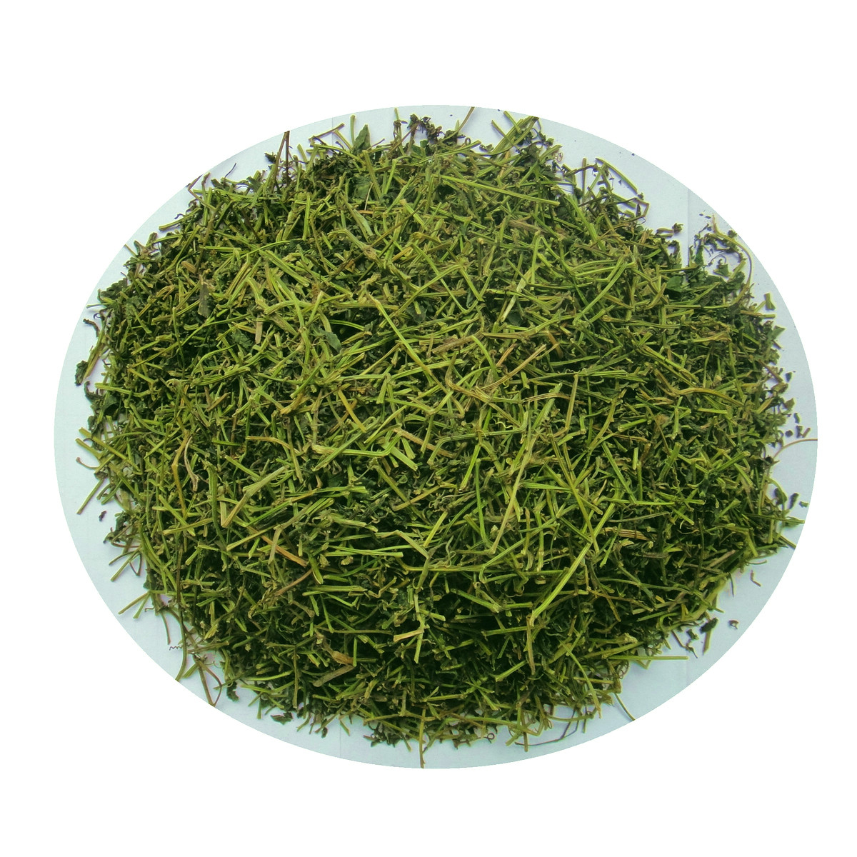 野生七叶绞股蓝500g晒干藤杆及叶七叶参颜色鲜甘味绞股蓝原藤杆叶