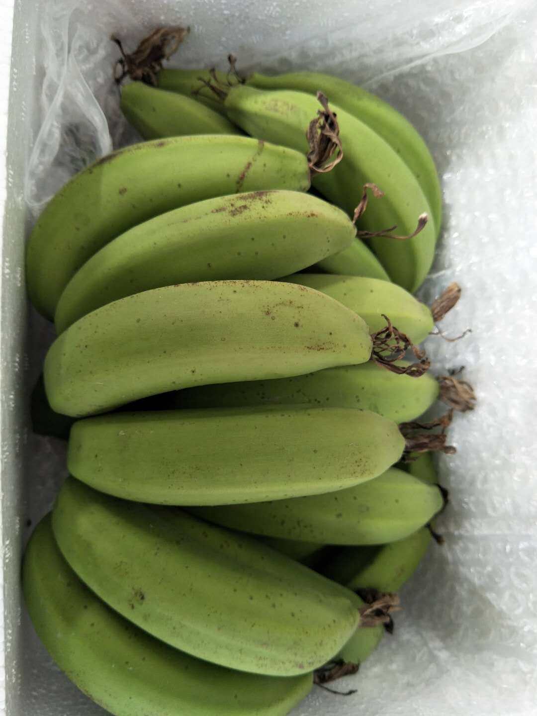 香蕉天宝新鲜banana现货现发催熟青香水果5斤装香蕉