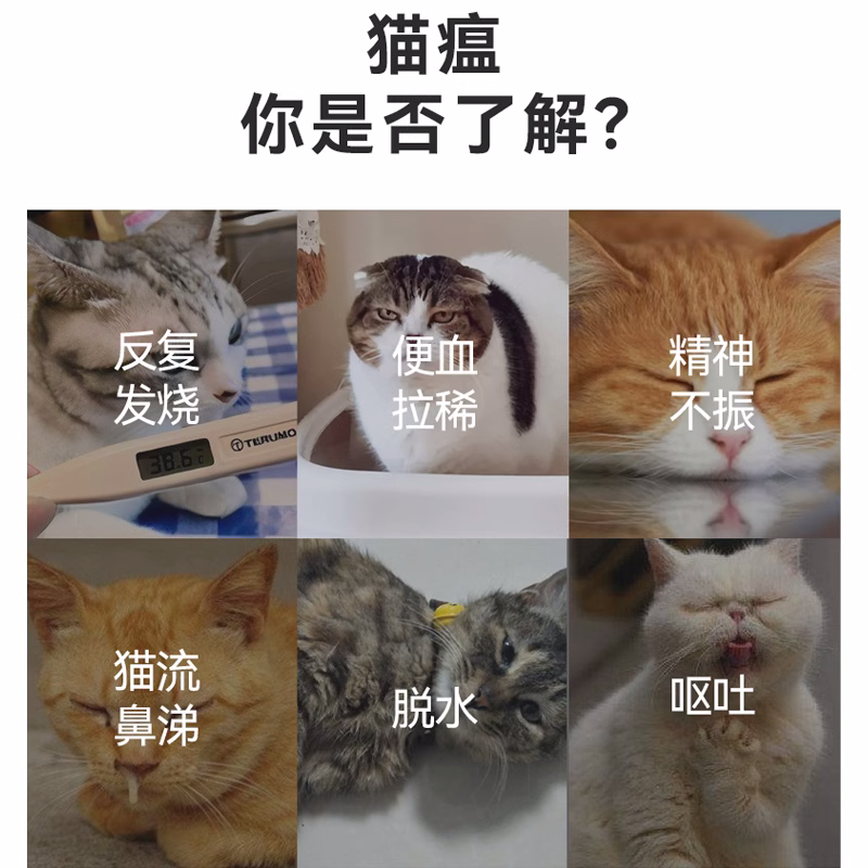 猫瘟韩国安捷试纸fpv1份猫泛白胞减少抗原试纸