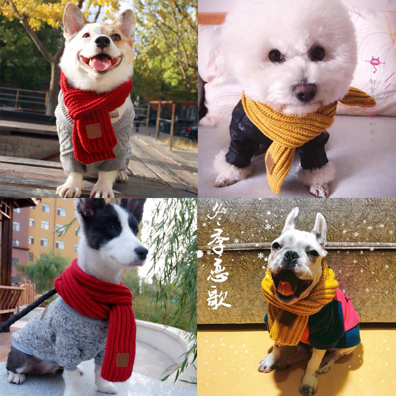 狗狗围巾秋冬小型犬泰迪狗萨摩装饰围巾抖音可爱小猫小狗围脖领巾_双