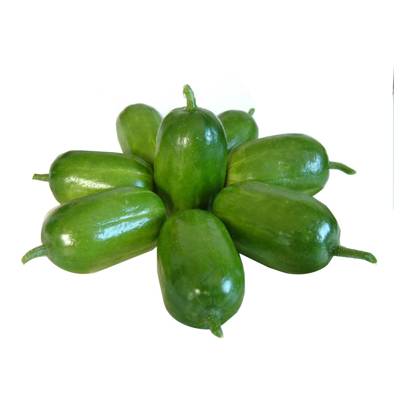 黄瓜种子金童玉女小黄瓜水果四季早春种植蔬菜菜籽家庭园艺种子