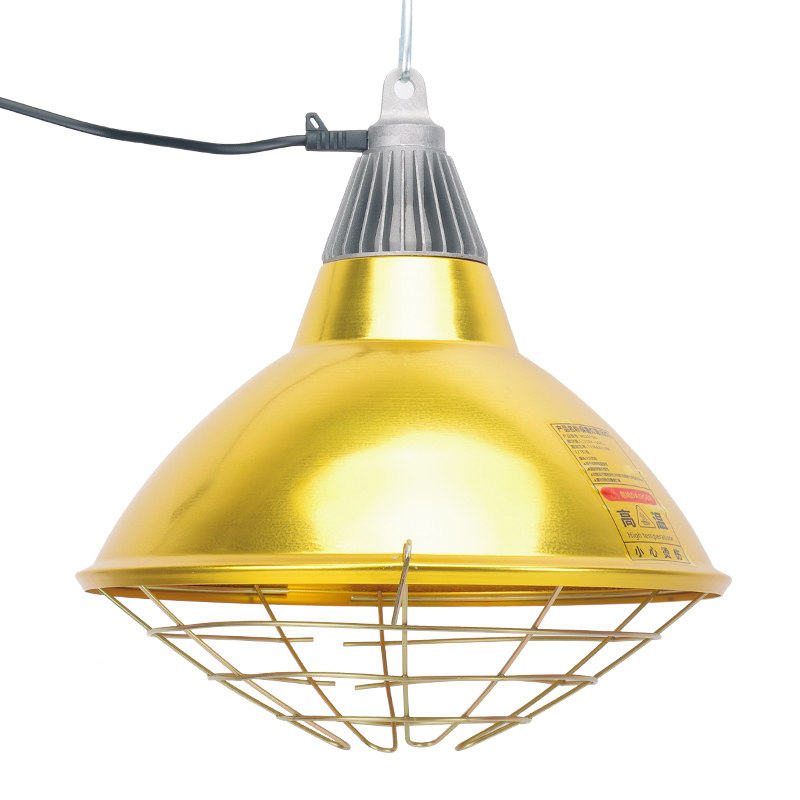 灯灯猪用保温灯罩养殖灯猫犬狗保暖灯具兽用畜牧