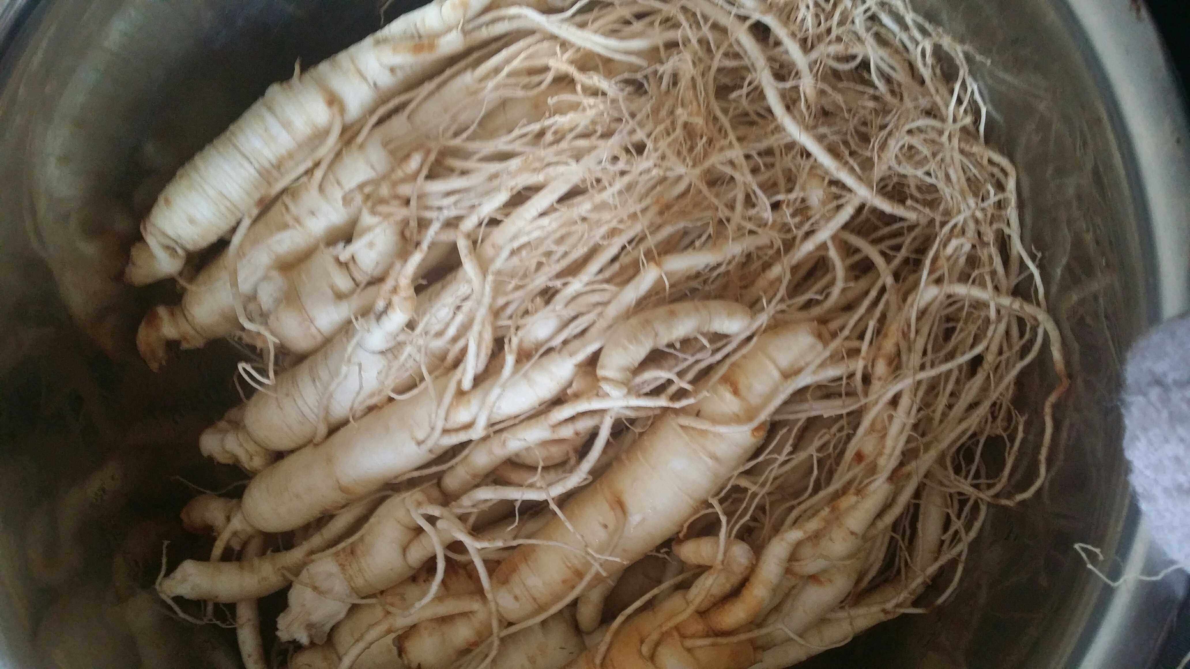 果儿人参纯露抗衰老细纹改善老化血丝养发500ml纯露