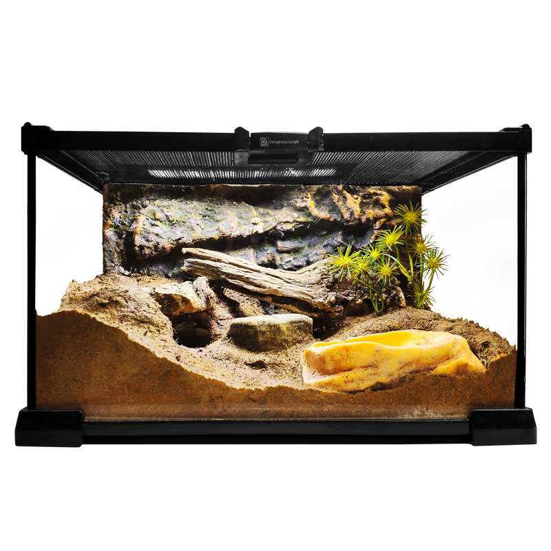宠物蛇蛇造景玻璃饲养生态环境爬宠缸雨林水陆景观爬宠缸