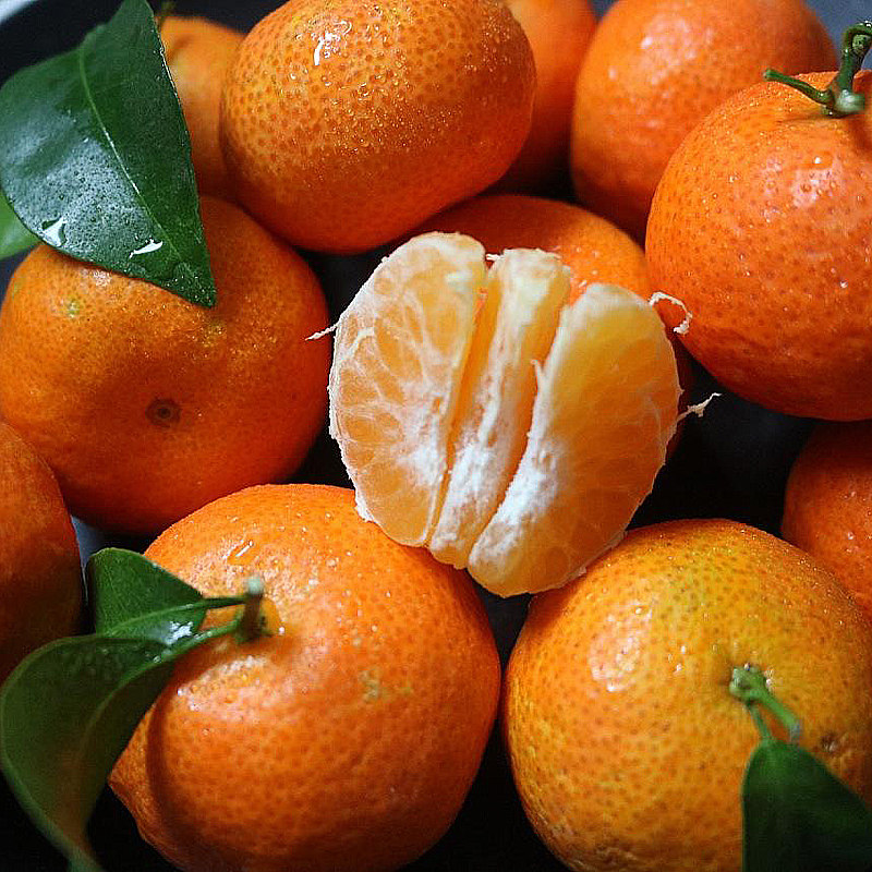 【5斤】小砂糖橘新鲜现摘顺丰水果薄皮沙糖桔子甜柑橘贡广西蜜桔