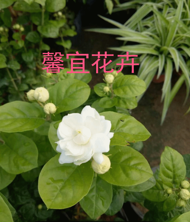 638_745gif 动态图 动图