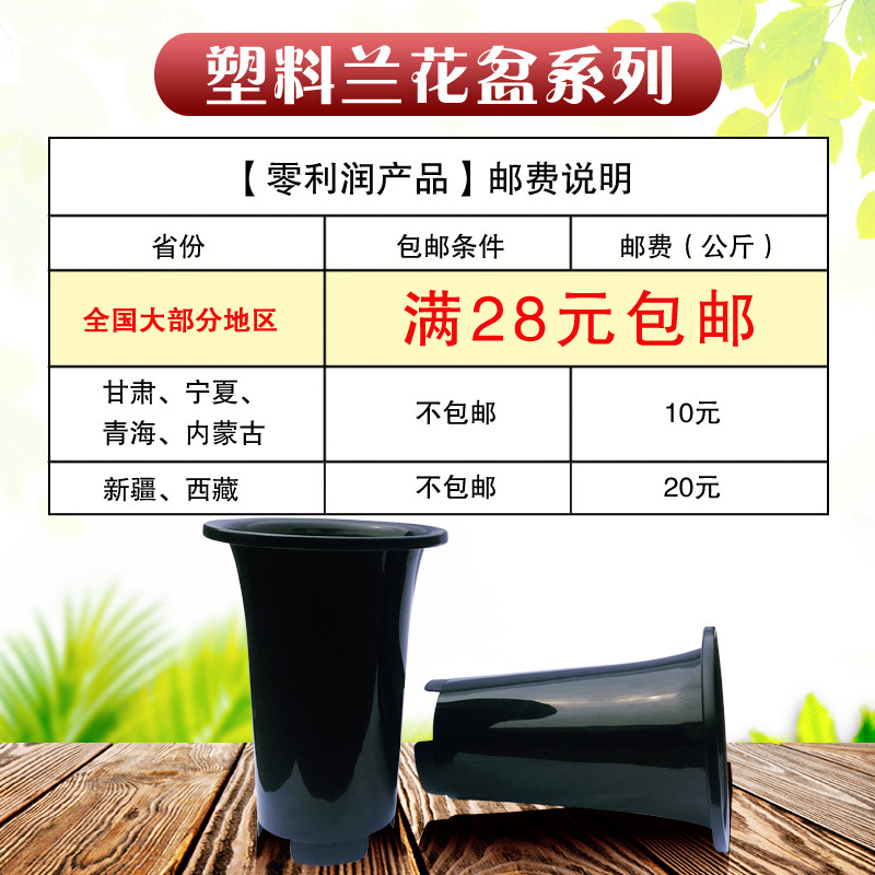 兰花花盆 高塑料兰花盆 君子兰虎皮兰铁皮石斛花卉绿植盆栽营养土