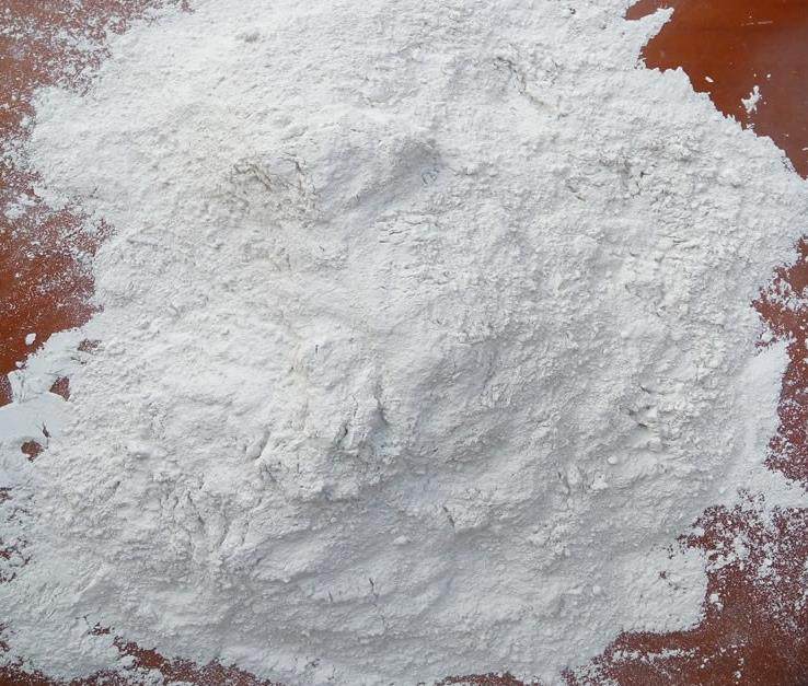 白石灰粉除湿石灰粉生石灰杀菌消毒5斤驱虫除虫床上发热干燥剂块