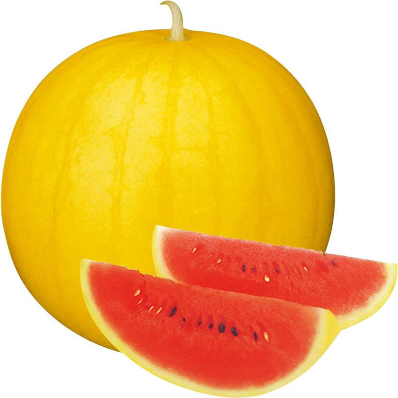 金麒麟玲珑小西瓜种子籽超甜黄皮红瓤阳台四季盆栽懒汉西瓜孑南方