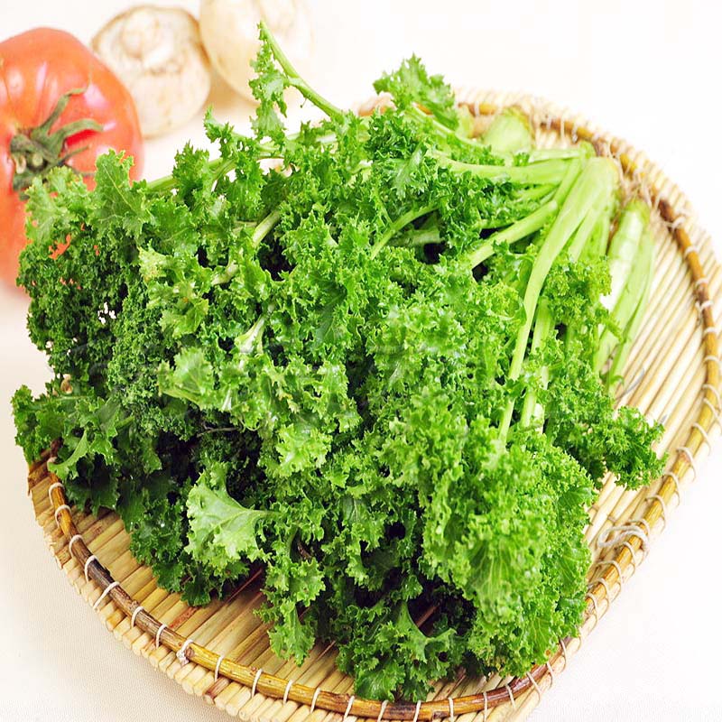 菜种花叶苔菜种子种籽台菜四季青菜籽耐寒秋冬季家庭园艺种子