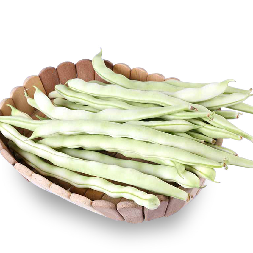 白芸豆眉豆扁豆架豆豆角老来芸豆四季九粒嫩白家庭园艺种子