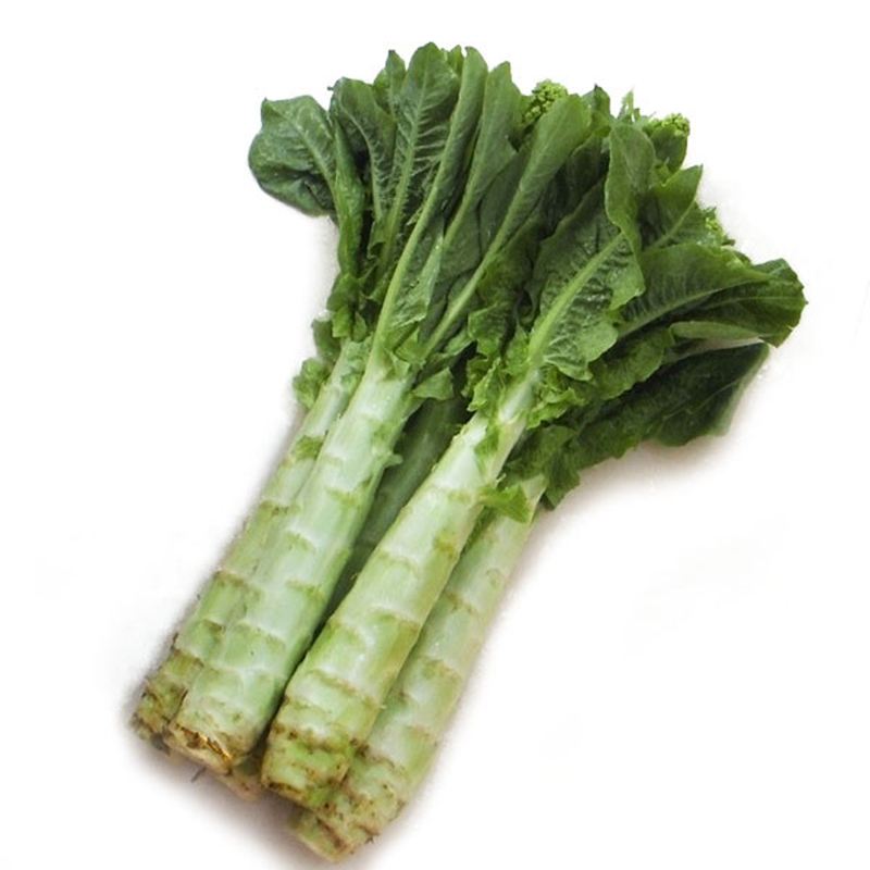 香笋香莴笋种子莴苣种籽圆叶耐寒菜种籽种尖叶秋冬季菜孑青笋菜籽