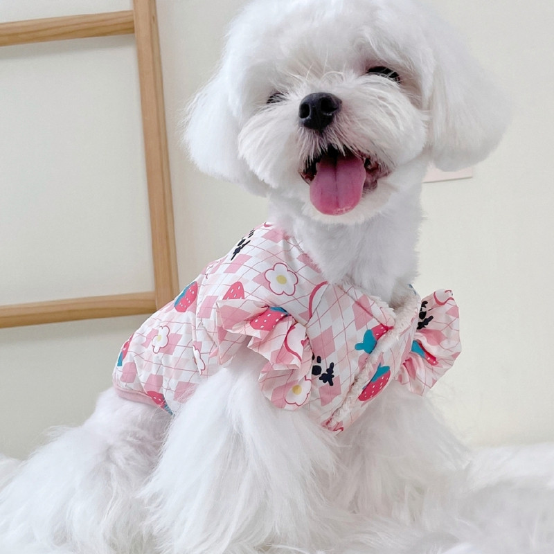 飞袖熊博美秋冬季幼犬猫咪博美犬比小型泰迪衣服宠物服装