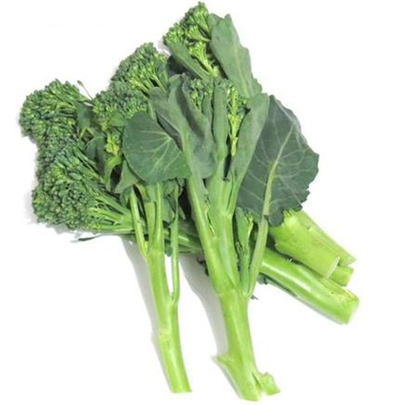 西兰兰花芥蓝青花盆栽四季芦笋小西芥兰西洋家庭园艺种子