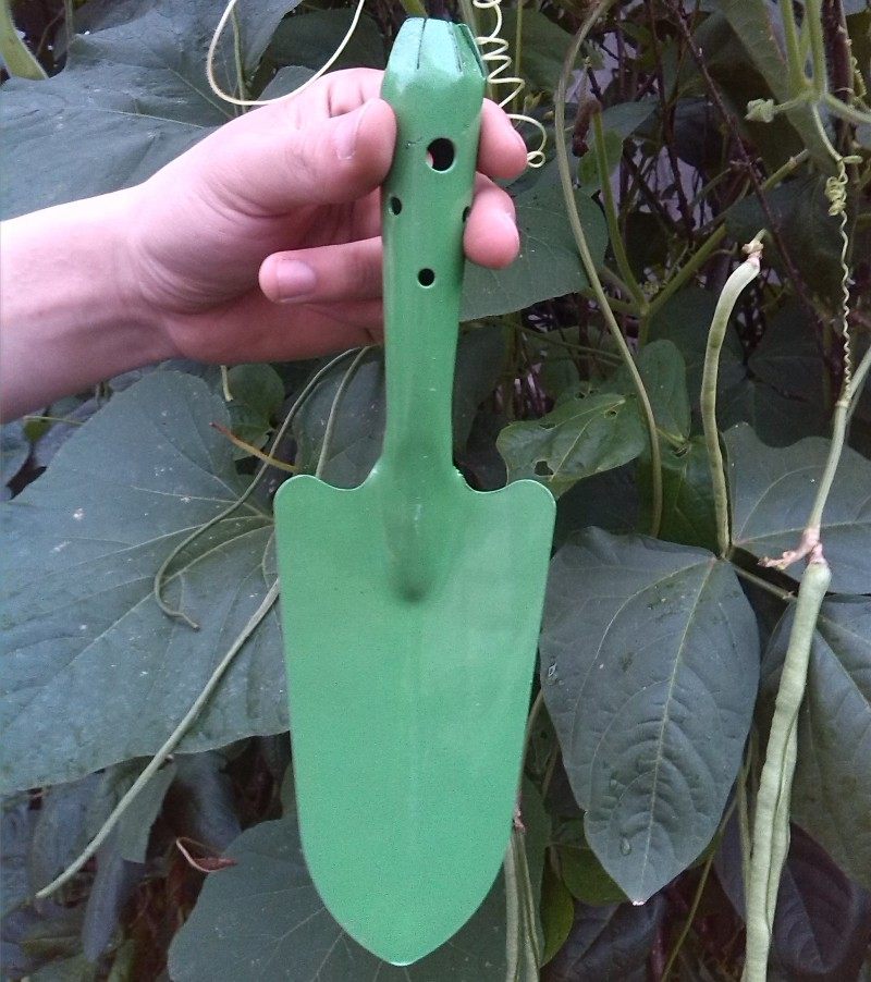 小型彩色不锈不锈钢钢花铲子栽花移苗种植小花铲子