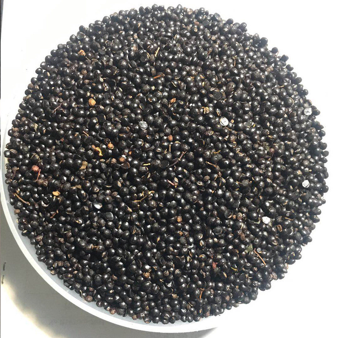 峪北无刺花椒籽500g 一斤无刺花椒树苗的砧木种子 须十斤包邮