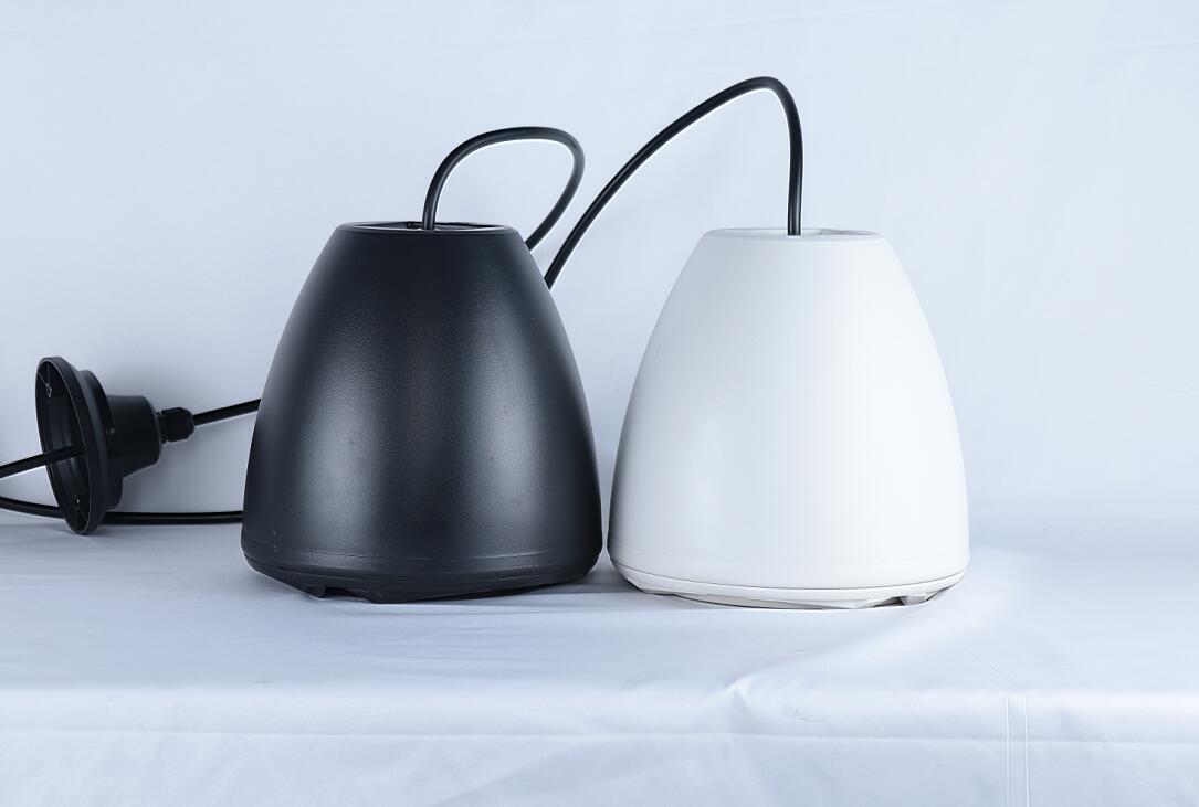 同轴吊球音箱 可调节长度吊顶音响 超市网咖网吧餐厅美容美发店