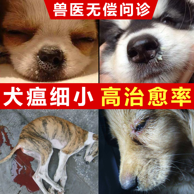 犬瘟细小治疗套餐狗狗拉稀便血腹泻咳嗽抽搐狗瘟病毒后遗症药单抗