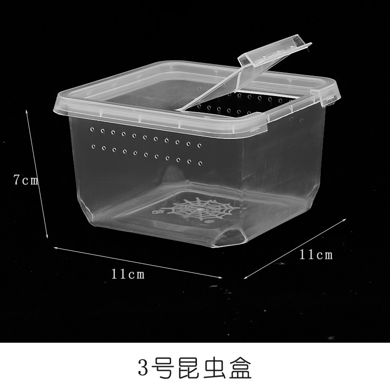 蚕宝宝养蚕透明饲养专用盒蚕孵化家养养育盒子其他户外休闲玩具